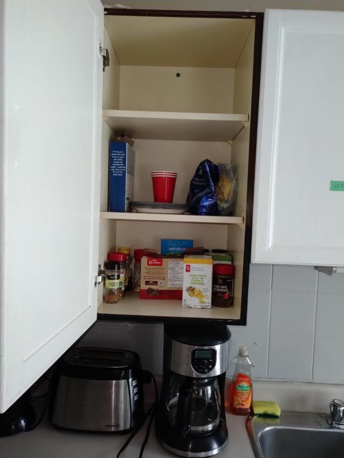 Cozy Downtown Two Bedrooms Free Parking Kingston Zewnętrze zdjęcie