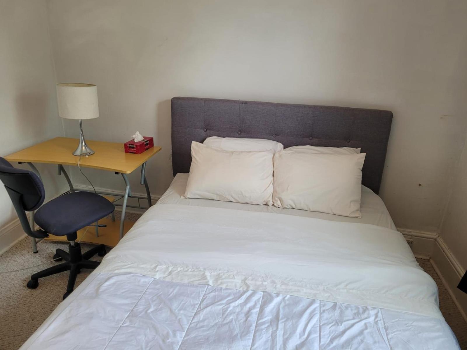 Cozy Downtown Two Bedrooms Free Parking Kingston Zewnętrze zdjęcie